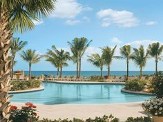 an outdoor swimming pool surrounded by palm trees and flowers with the ocean in the background