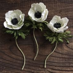 three white flowers with green leaves on a wooden surface