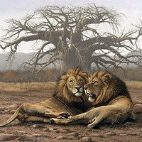 two lions laying on the ground in front of a tree