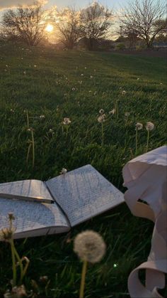 an open book sitting on top of a lush green field next to dandelions