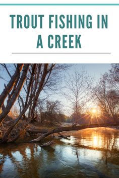 a river with trees and the words, trout fishing in a creek