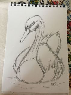 a drawing of a swan sitting in the water