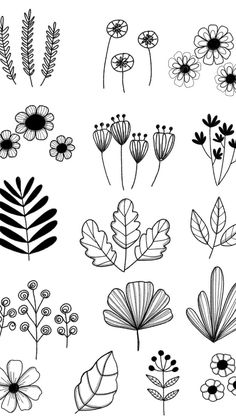 various flowers and leaves drawn in black ink on a white background, each with different colors