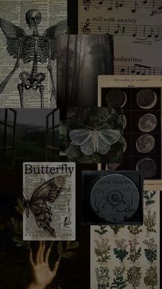 several different pictures with various designs and words on them, including an image of a butterfly