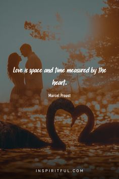 two swans in the water with a quote about love is space and time measured by the heart