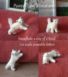 four pictures of miniature white dogs on a red couch with the caption snowflake a one of a kind, no scale possible kitten