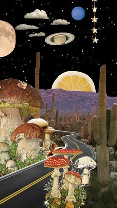 an image of a road with mushrooms and stars in the night sky above it, surrounded by cacti