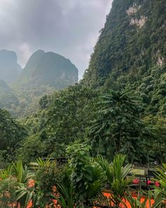 there are many trees and mountains in the background with orange dirt on the ground below