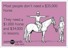 a woman standing next to a horse with the caption most people don't need a $ 350, 000 horse