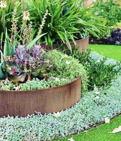 a garden filled with lots of different types of flowers and plants in metal planters