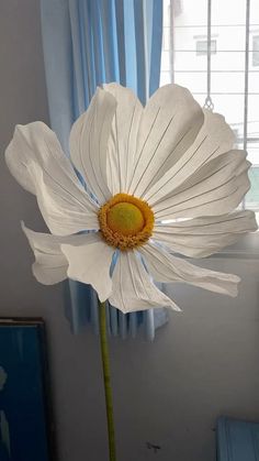 a large white flower sitting on top of a table next to a blue curtained window