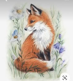 a drawing of a fox sitting in the grass with daisies and butterflies around it