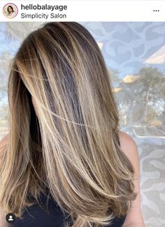 Bayalage Blonde Ash, Should Length Hairstyle Women, Shoulder Haircuts For Women Straight, Dark Hair To Light Balayage, Hilights On Brunettes, Natural Light Blonde Highlights, Bronze And Blonde Highlights, Straight Highlighted Hair, Brown Hair With Blonde Highlights Medium Length