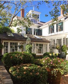 a white house with lots of windows and plants in the front garden area on a sunny day