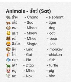 animals in different languages on a white background