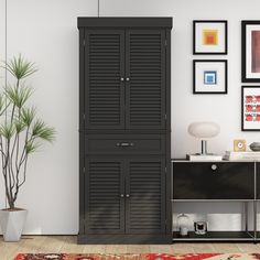 a black cabinet sitting in the corner of a living room next to a potted plant