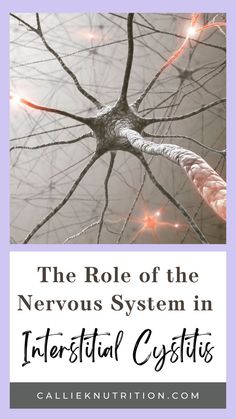 Learn more about IC symptoms Foods For Thyroid Health, Mthfr Gene Mutation, Mast Cell Activation Syndrome, Short Fuse, Renal Diet, The Nervous System