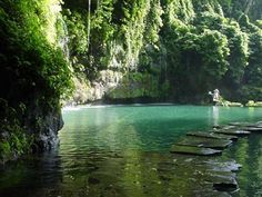 the water is so clear that it looks like they are floating in the middle of the river