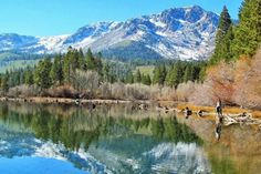 a man standing on the shore of a lake with mountains in the background and trees around him