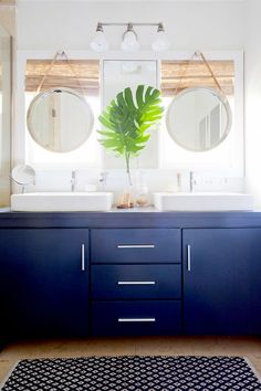 a bathroom with two sinks, mirrors and a plant in the middle of the room