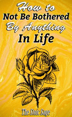 a yellow rose with the words, how to not be bothered by anything in life