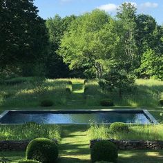 a pool in the middle of a lush green field