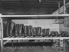 Photographic Print: Mail Order Co. LL Bean's Famous Maine Hunting Shoes Lined Up by Size from 6 1/2 to 18 In by George Strock : 24x18in Deer Hunting Outfit, Ll Bean Style, Ll Beans, Things Organized Neatly, Freeport Maine, Hunting Pictures, Fishing Jacket, Vintage Hunting, Morning Inspiration