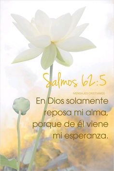 a white flower with the words, salmos 6 15 in spanish and english on it