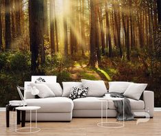 the sun shines through the trees in this forest scene wallpaper mural, which is part of a living room