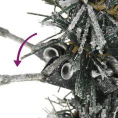 a close up of a tree with snow on it and an arrow pointing to the right