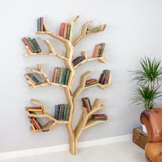 there is a tree with many books on it