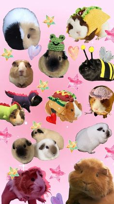 a bunch of animals that are in the shape of a collage with hearts and stars