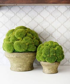 two potted plants sitting on top of a white counter