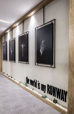 a long hallway with pictures hanging on the wall and an inscription that reads, the world is my runway