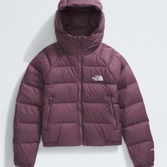 North Face Hydrenalite Down Hoodie Burgundy Color Size Large Barely Worn - Once Or Twice North Face Hydrenalite, Patagonia Retro Pile, Coats North Face, Northface Puffer, Camping Fabric, Patagonia Retro, Down Parka Women, Bib Snow Pants, Patagonia Down Sweater