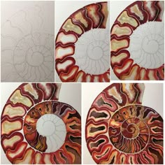 four pictures of different shapes and sizes of shells