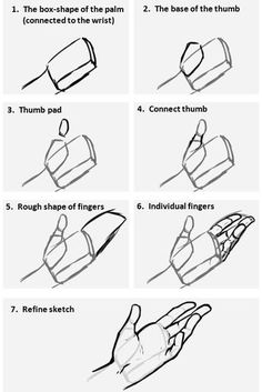 the instructions for how to draw hands