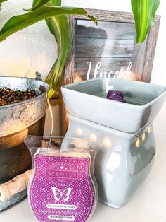 some candles are sitting on a table next to a potted plant and other items