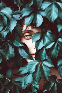 a woman with blue eyes hiding behind green leaves