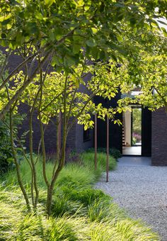 an outdoor area with trees, grass and gravel