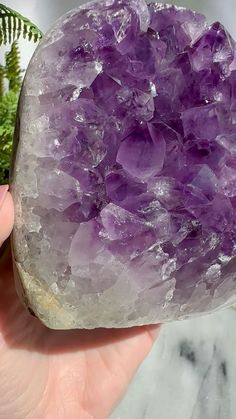 This amethyst freeform has large, juicy grape-colored crystals with rainbows and phantom color formations inside some of them. There is minor damage to the largest crystal, but it doesn't detract from its overall beauty. The large size of the crystals coupled with the luscious hues make for a stunning piece in any collection or as part of home decor. Money Spells That Work, Grape Color, Zodiac Stones, Zodiac Stuff, Money Spells, Crystal Geode, Crystal Healing Stones, Minerals And Gemstones, Large Crystals