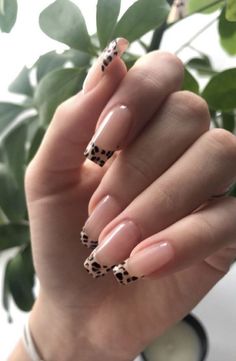 cheetah nails Edgy Nails, Animal Print Nails, Dream Nails, Summer Nail, Short Acrylic Nails, Best Acrylic Nails