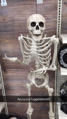 a skeleton is standing in the middle of shelves