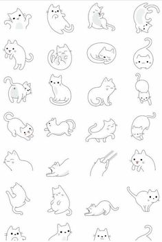 various cats and kittens are shown in black and white