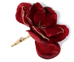 a red flower with gold trim on a white background