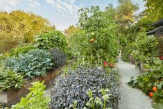 a garden filled with lots of different types of plants and flowers on top of each other