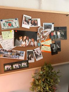 a bulletin board covered in pictures and photos next to a potted plant on a table