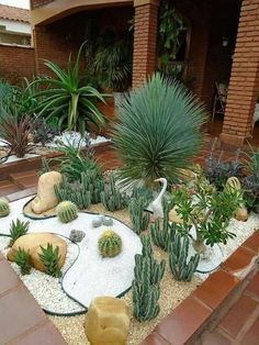 an outdoor garden with plants and rocks in the center, including cacti and succulents