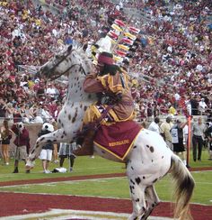 a man riding on the back of a white horse in front of a large crowd