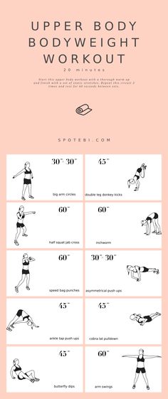 the upper body and lower body workout chart